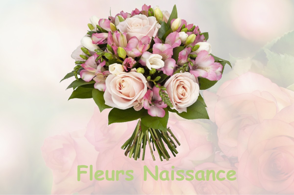 fleurs naissance CHATEAUNEUF-D-ENTRAUNES