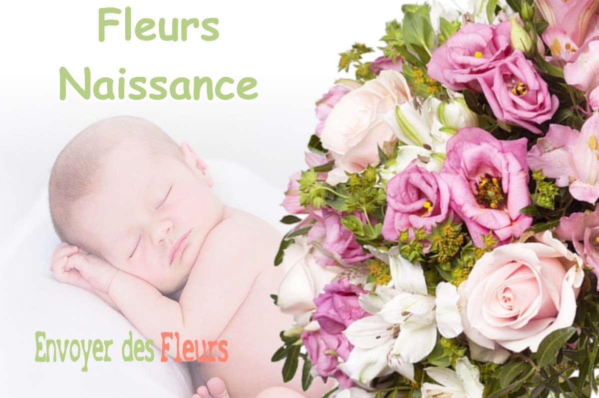 lIVRAISON FLEURS NAISSANCE à CHATEAUNEUF-D-ENTRAUNES